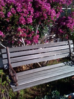 garden bench