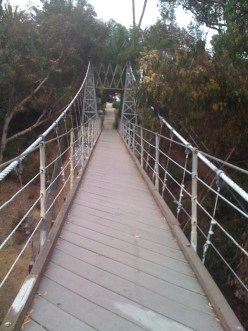 Spruce Street Suspension Bridge