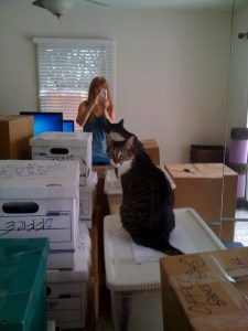 Unpacking Linda and Lily