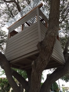 Tree House